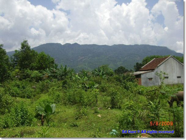 West of GIA VUC BA VI.jpg